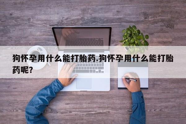打胎药货到付款狗怀孕用什么能打胎药.狗怀孕用什么能打胎药呢？