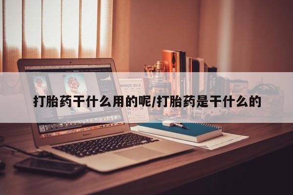 admin 第187页