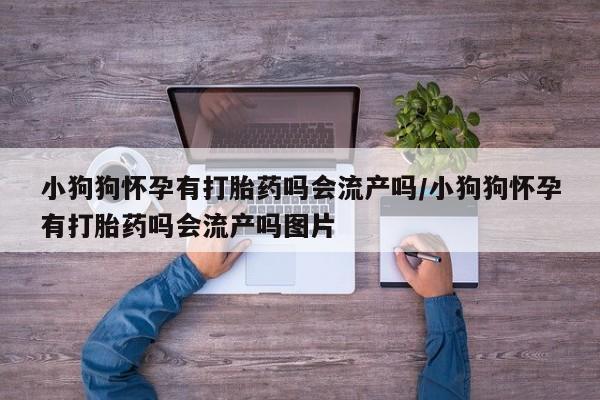 打胎药货到付款小狗狗怀孕有打胎药吗会流产吗/小狗狗怀孕有打胎药吗会流产吗图片