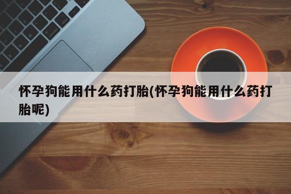 打胎药货到付款怀孕狗能用什么药打胎(怀孕狗能用什么药打胎呢)